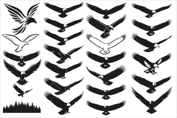 Download Powerful Eagle Flying Wall Art Design F - Design Collection