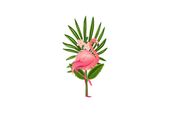 Download Cute Flamingo Illustration - Flamingo illustration Collection
