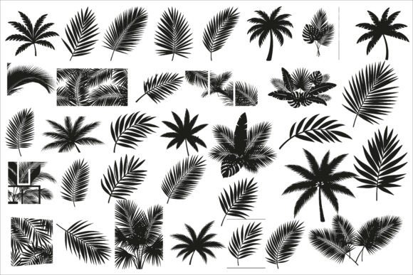 Download Stylish Tropical Palm Wall Decor Design - Design Collection