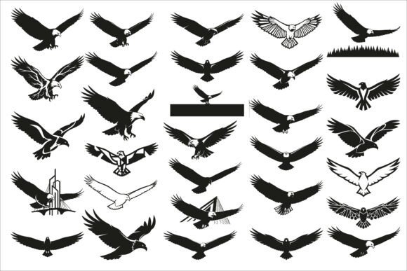 Download Powerful Eagle Flying Wall Art Design - Design Collection